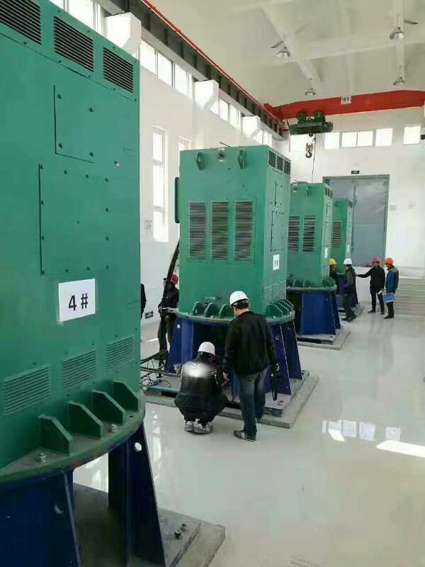 平邑某污水处理厂使用我厂的立式高压电机安装现场